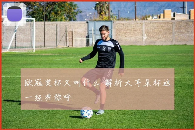 欧冠奖杯又叫什么 解析大耳朵杯这一经典称呼