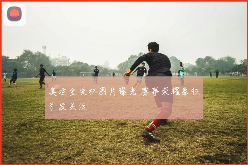 奥运金奖杯图片曝光 赛事荣耀象征引发关注
